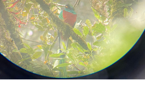 لاس فيراباس: جولة لمدة 3 أيام إلى سيموك شامبي والكثير من الطبيعة