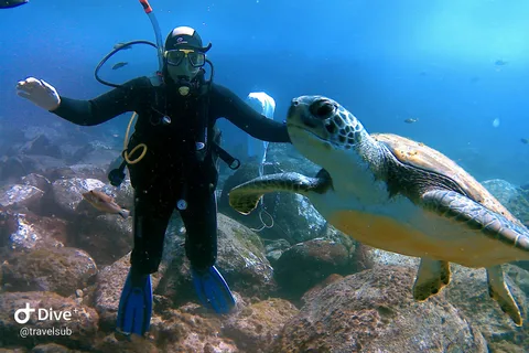 Tenerife: Puerto Colon Discover Scuba Diving Trip