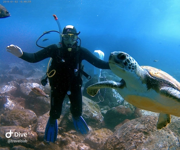Tenerife: Puerto Colon Discover Scuba Diving Trip