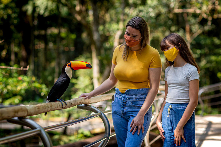 Waterfalls, Bird Park and Macuco Safari: Complete Experience