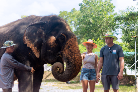 Phuket: Avventura nel santuario degli elefanti: l&#039;alimentazione dei giganti gentili