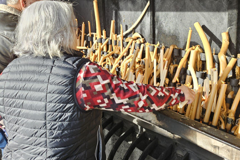 جولة فاطمة الخاصة: فاطمة- الناصرة- أوبيدوس