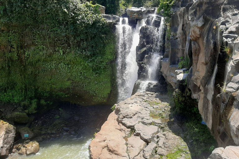 Ubud: foresta delle scimmie, terrazzamenti di riso e cascata