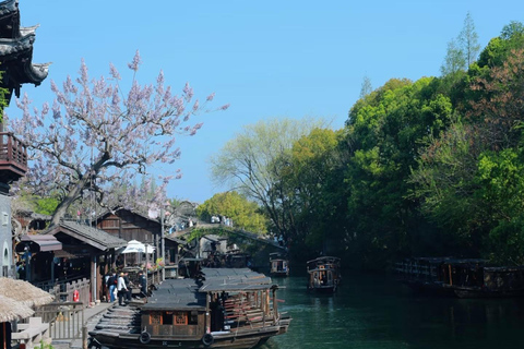 From Hangzhou: Wuzhen Water Town Tour with Riverside Essence Guide for other languages