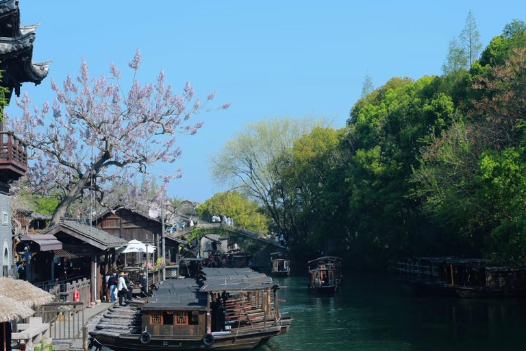 From Hangzhou: Wuzhen Water Town Tour with Riverside Essence Guide for other languages