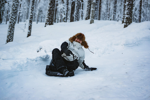 Levi：Arcandia，精灵法庭/日光和公园/黑暗精灵法庭：3 小时体验和公园之旅