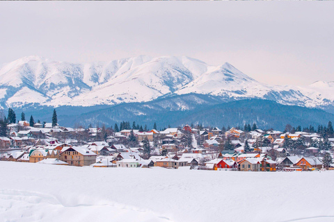 Tbilisi: Borjomi, Bakuriani & Kukushka Train Tour