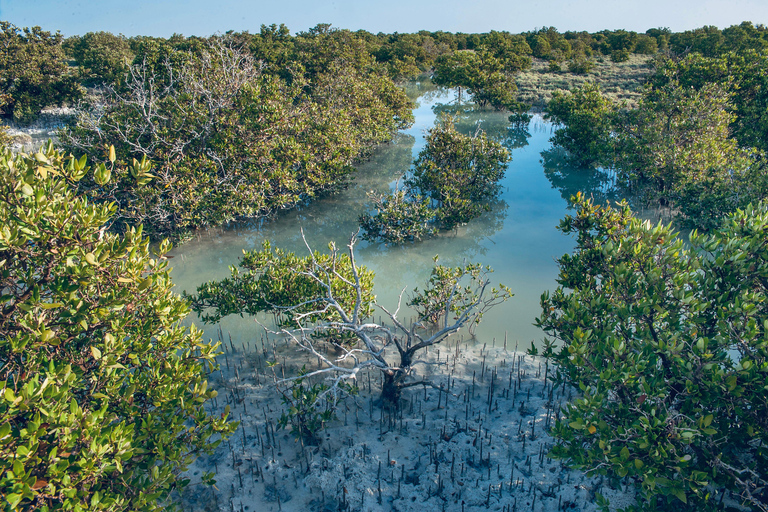 Doha: Explore the North and West of Qatar With Transfers