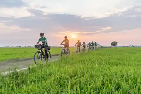 Siem Reap: passeio de bicicleta ao pôr do sol no campo