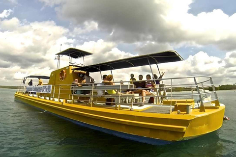 Punta Cana: escursione di un giorno all&#039;Isola Saona con pranzo e open bar