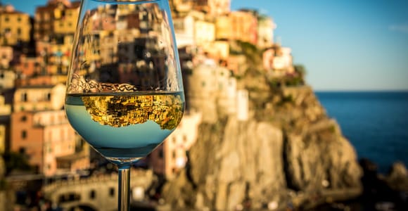 Cinque Terre Guided Exploration & Wine Cheers