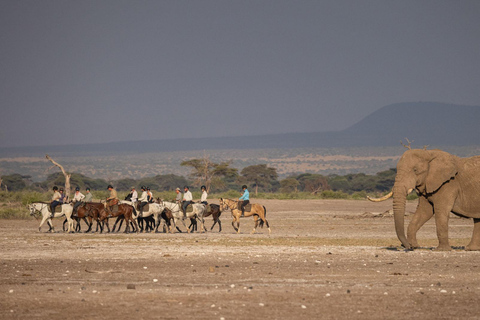 Morning Horse Ride at Dolly Estate: Wildlife &amp; Scenic Views