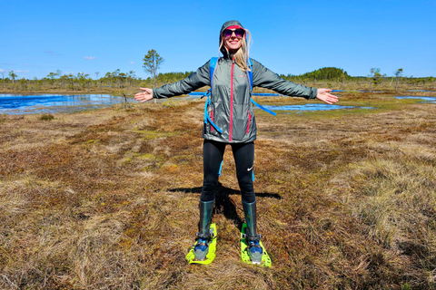 Ķemeri Bogs Adventure: Explore Wetlands In Bog Shoes