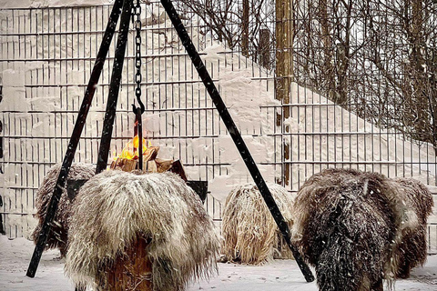 Reykjavík: Husky Kennel Visit with Hot Drinks