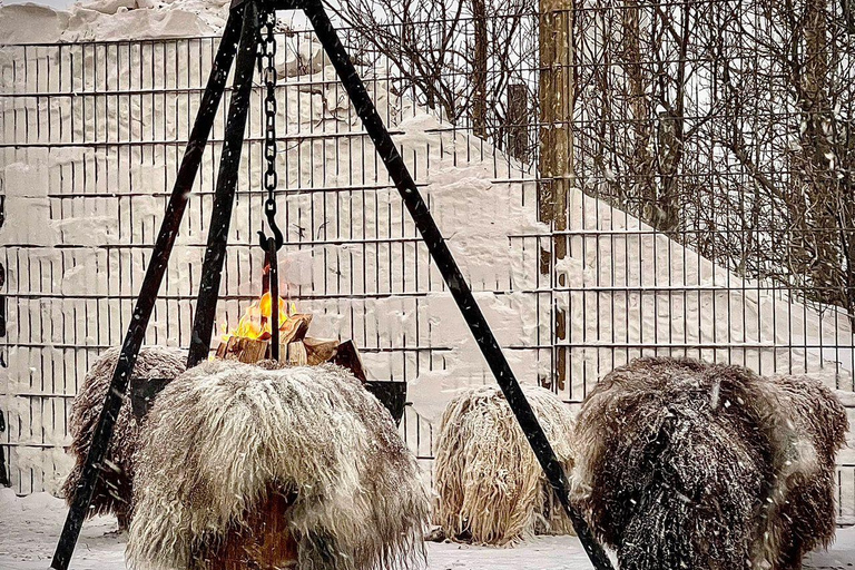 Reykjavík: Husky Kennel Visit with Hot Drinks
