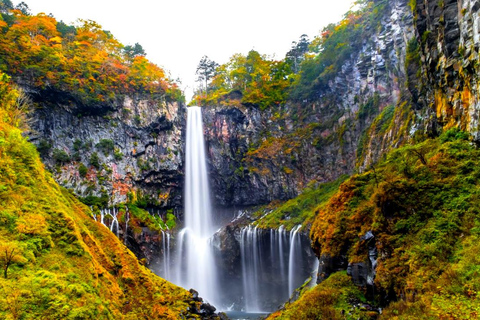 Nikko Day Trip: Toshogu Shrine & Kegon Falls & Lake Chuzenji 8:00 am JR Tokyo Station North Exit