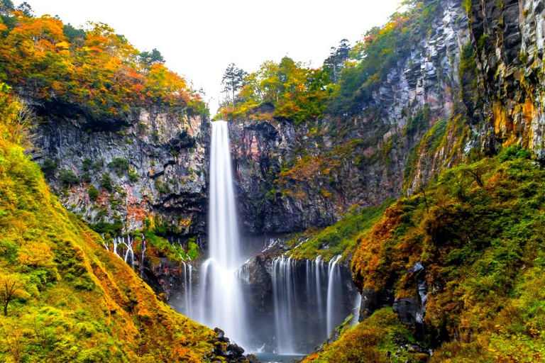 Nikko Day Trip: Toshogu Shrine & Kegon Falls & Lake Chuzenji 8:00 am JR Tokyo Station North Exit