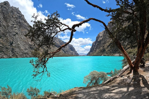 Huaraz : Journée complète Lagune 69 + Lagune Llanganuco