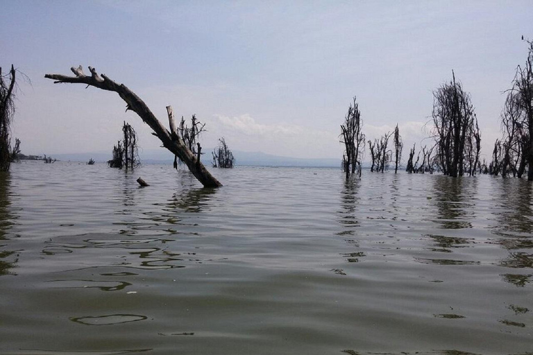 Nairobi: Hell's Gate & Lake Naivasha Day Trip with Boat Ride