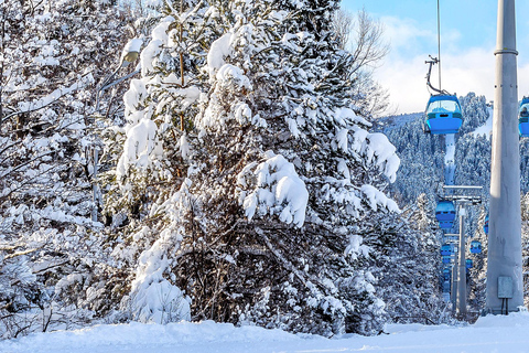 Tour: Sofia ⇄ Bansko in Mercedes Vito 2023