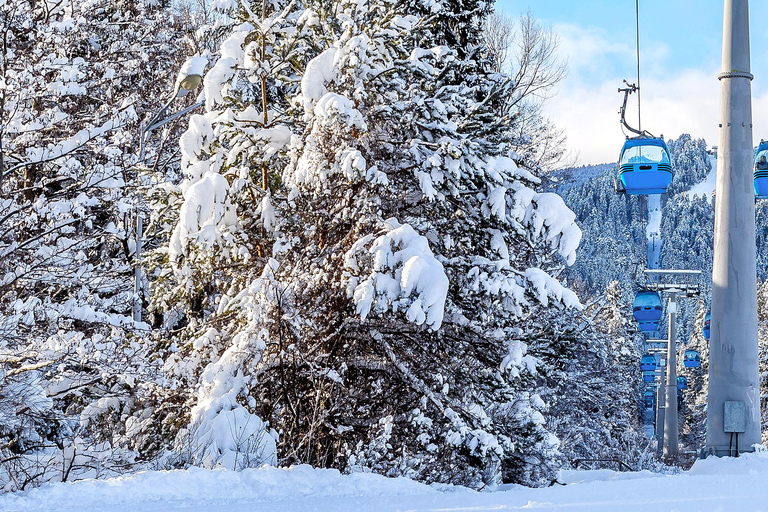 Tour: Sofia ⇄ Bansko in Mercedes Vito 2023