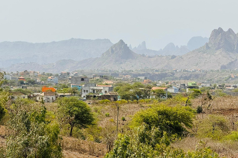 Poznaj największą plantację bananów na Cabo Verde