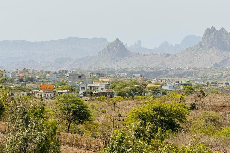 Poznaj największą plantację bananów na Cabo Verde
