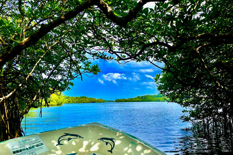 From Colombo: Galle Day Tour With Scenic Coastal Train Ride