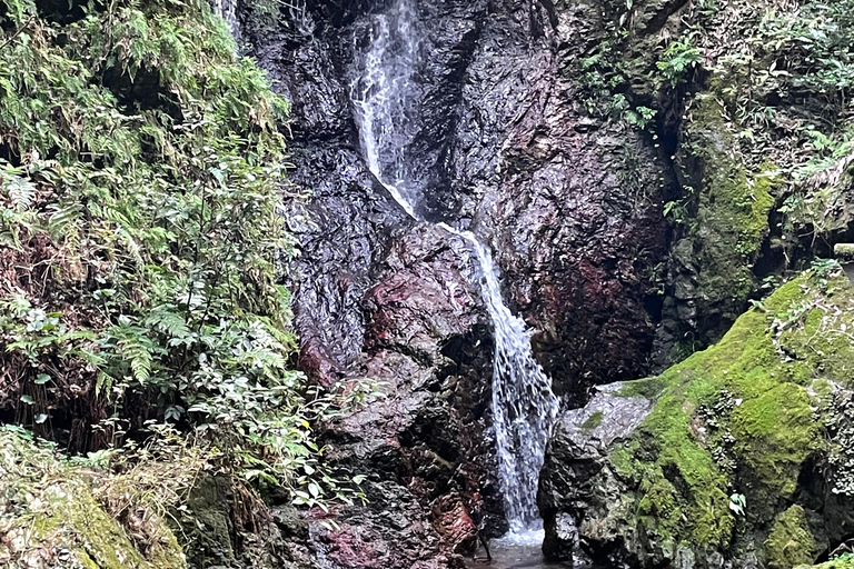 From Tokyo: Mountain Ridge Hike &amp; Scenic Waterfall Day TourHanno Ridge and Waterfall Guided Hiking Tour (1-2 People)