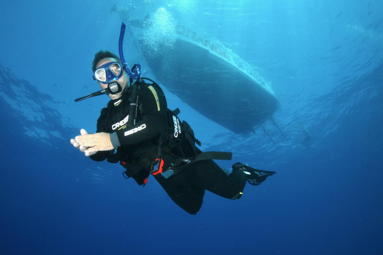 Malta: 1-Tages PADI Scuba Diver Brevetierung Anfängerkurs