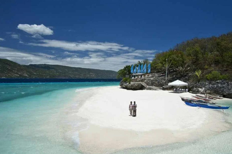 Cebu: Oslob Whale Shark, Tumalog Falls, and Sumilon Sandbar