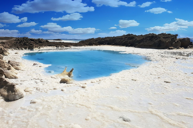 From Jerusalem: Jericho, Jordan River and the Dead Sea Tour