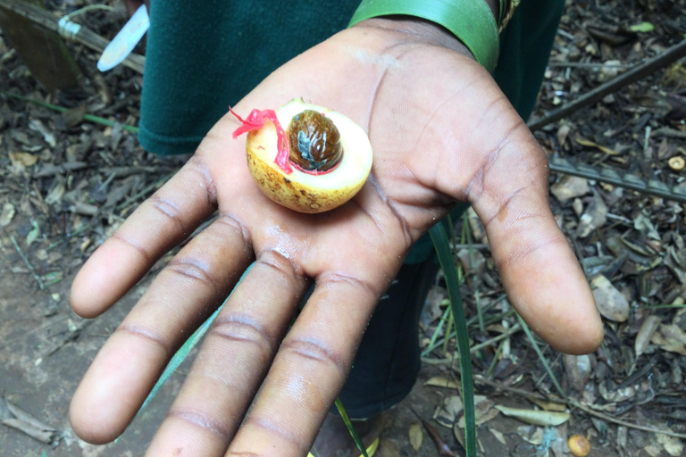 Zanzíbar: El sabor de las especias de Zanzíbar