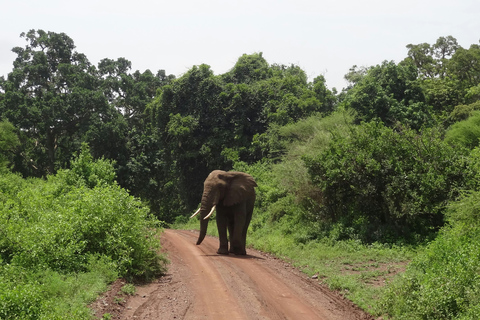 Arusha: 2-Day Tarangire & Lake Manyara Tanzania Safari Arusha: Private Day Trip to Tarangire National Park