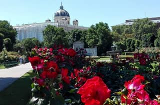 Wien: Geführter Rundgang zu den Highlights der Stadt – Kleingruppe