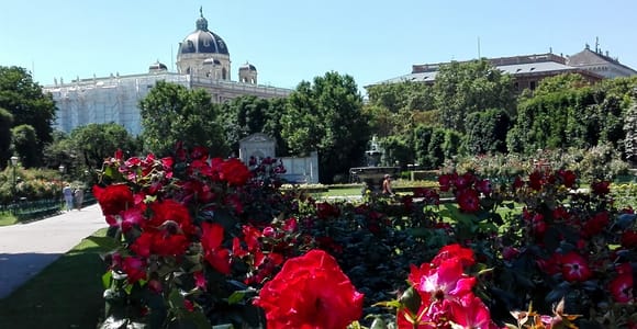Vienna: City Highlights Guided Walking Tour - Small Group