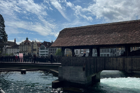 Luzern: Dagtrip naar Mt. Rigi met boottocht en tandradbaan