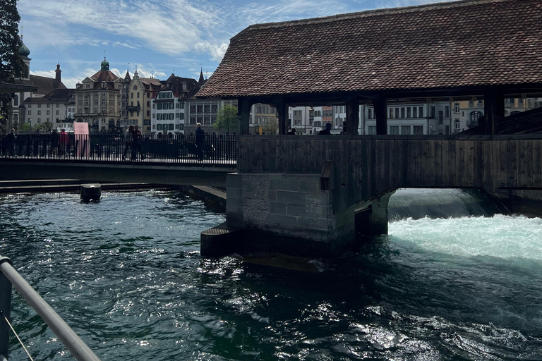 Luzern: Dagtrip naar Mt. Rigi met boottocht en tandradbaan