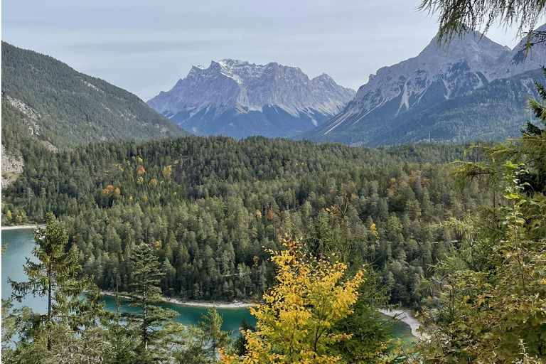 Private tour: Neuschwanstein castle and Alps from Innsbruck Private tour: Neuschwanstein castle and Alps from Innsbruck