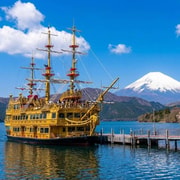 From Tokyo: Mount Fuji Private Tour with Guide From Tokyo: Mount Fuji Private Tour with Guide