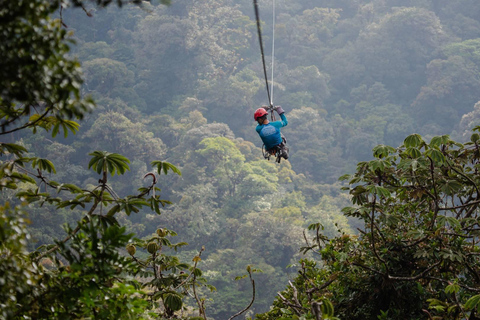 2 Day Nyungwe Canopy Walk and Zipline