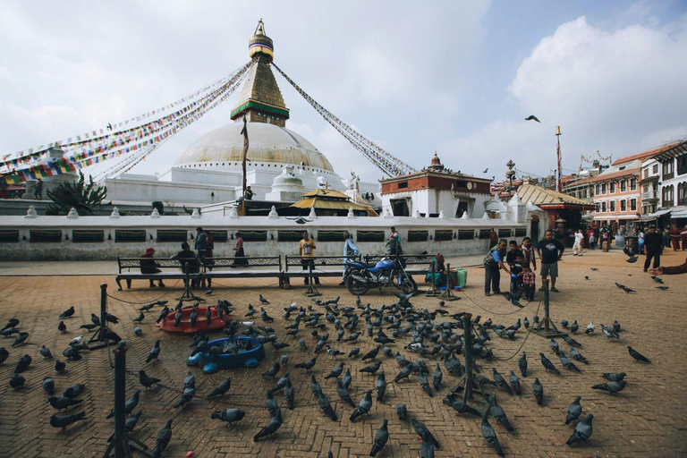 Kathmandu: 7 siti patrimonio dell&#039;umanità tour guidato di 1 giornoTour di 1 giorno in 7 siti dell&#039;UNESCO