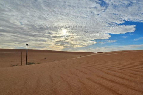 Riyadh Desert Safari Camel Ride Quad Bikes, and Dinner