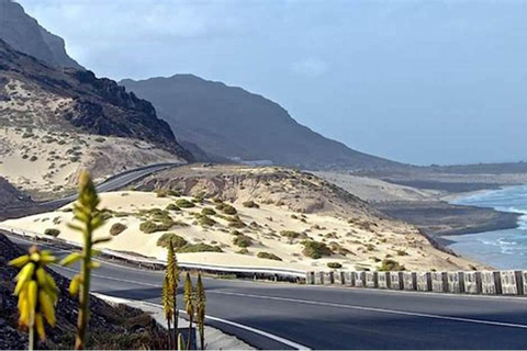 São Vicente: Wycieczka dla pasażerów statków wycieczkowychSão Vicente: Wycieczka po najważniejszych atrakcjach dla pasażerów statków wycieczkowych