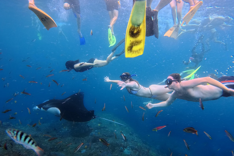 Nusa Penida: Snorkeling Adventure 3-Spots with Manta Rays Nusa Penida: Snorkeling Manta Point 3-Spots with Manta Rays
