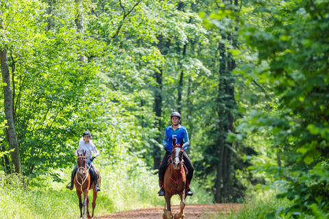 Montpellier: Private Sunset Horse Riding & Wine Tasting