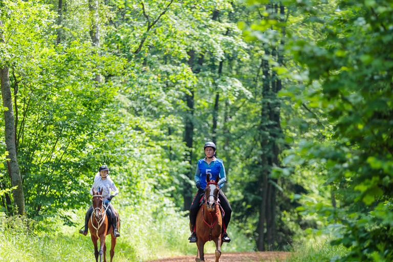 Montpellier: Private Sunset Horse Riding & Wine Tasting