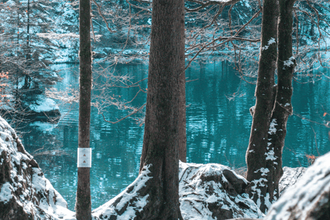 Depuis Zurich : Excursion d&#039;une journée au lac Blausee et au charmant Interlaken