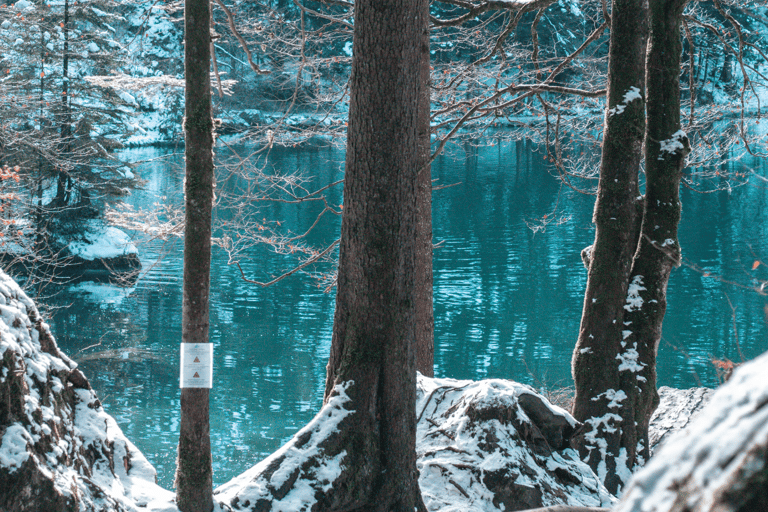 Depuis Zurich : Excursion d&#039;une journée au lac Blausee et au charmant Interlaken