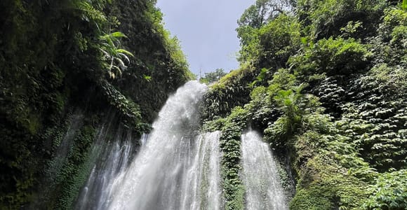 Sendang Gile and Tiu Kelep Waterfalls Daily Private Tour